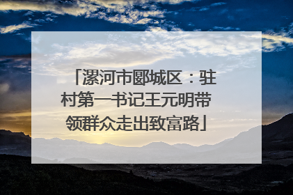 漯河市郾城区：驻村第一书记王元明带领群众走出致富路